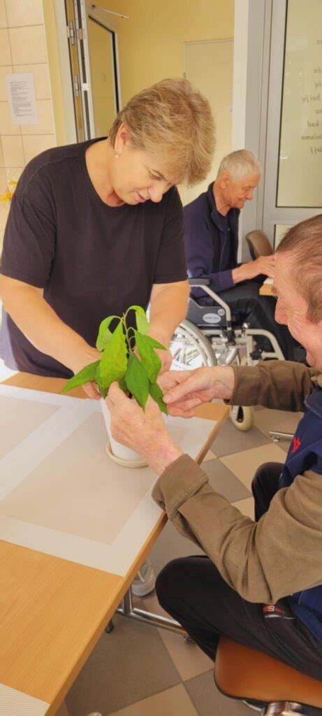 Senjorų bendrystė globos namuose