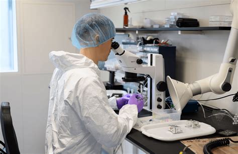 embriologas dirbantis laboratorijoje su mikroskopu