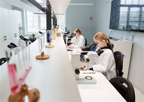 embrionas auginamas specialioje laboratorijos aplinkoje