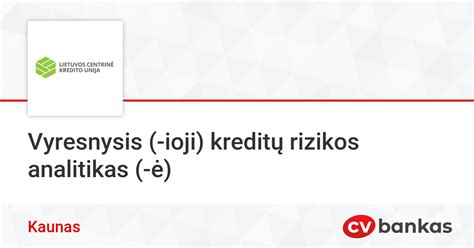 Schema, parodanti kredito rizikos vertinimo veiksnius
