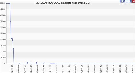 verslo registravimo procesas VMI