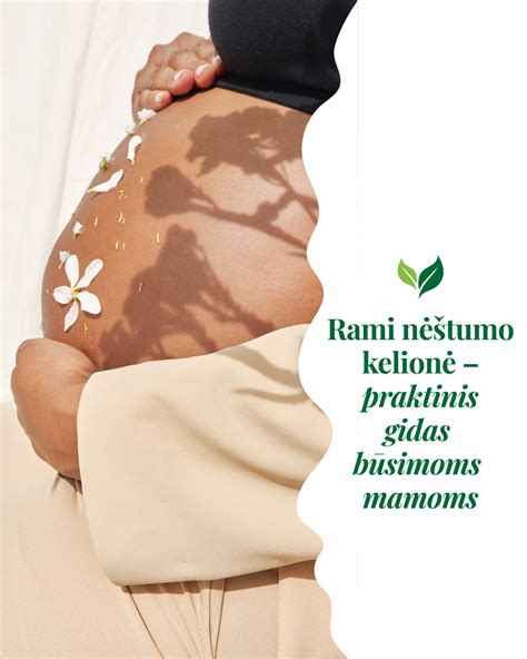 nėštumo mitybos planas