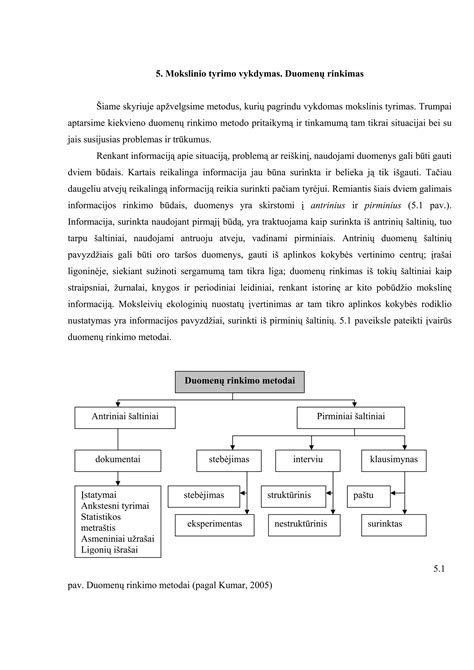 Informacijos srautas naudojant Pixel žymas svetainėje
