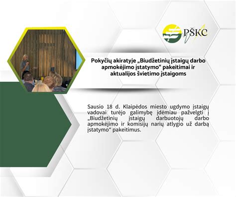 Pedagogų bendruomenės ir darbo apmokėjimo Lietuvoje vizualizacija