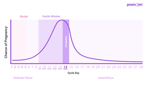 graph showing probability of pregnancy during menstrual cycle