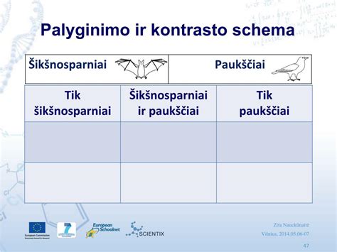 įvairių tipų sūpynių palyginimo schema