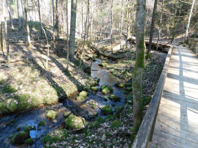 Lopaičių stebuklingasis šaltinis