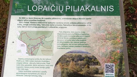 Lopaičių piliakalnio archeologinės liekanos