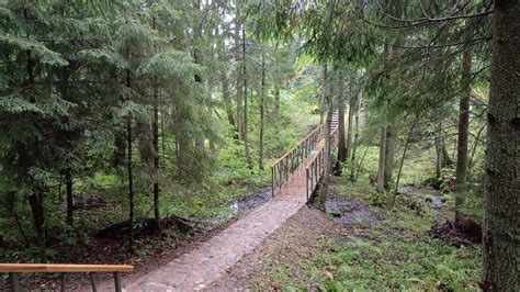 Lopaičių pažintinis takas miške