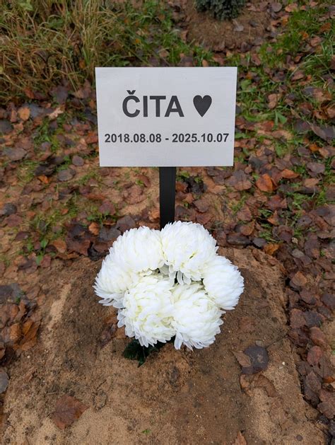 Taktilinių lentelių pavyzdžiai