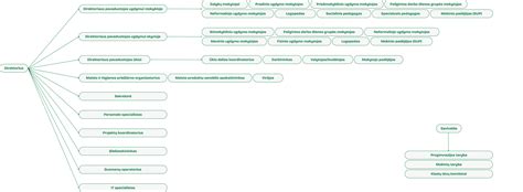 schema rodanti ugdymo procesą ir aplinkos kūrimą