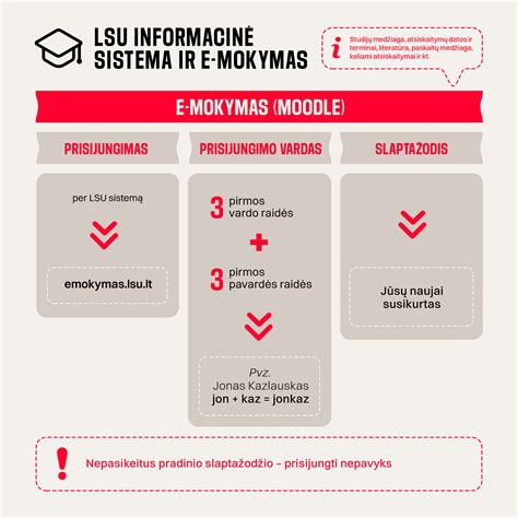 infografikas apie mokymo programos etapus