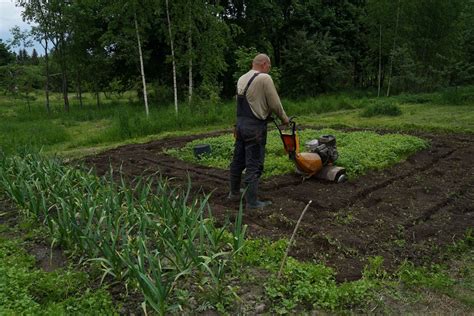 Apleisto sklypo paruošimo daržui schema