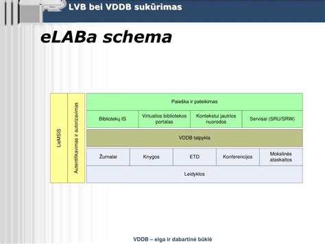 pedagogikos studijų eiga ir dokumentų pateikimo schema