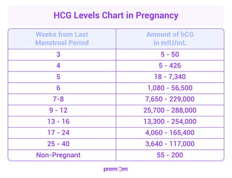 HCG lygio dvigubėjimo schema