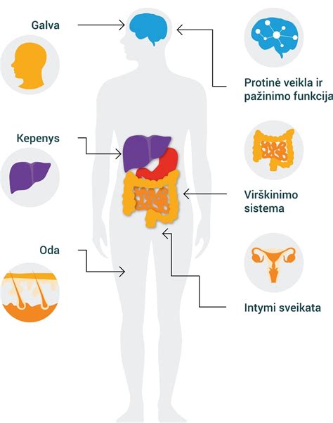 gerųjų bakterijų ir probiotikų vizualizacija žarnyne