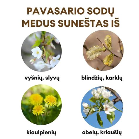 Pavasarinis gamtos atgimimas ir simbolinis Jarilo vaizdinys