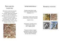 Romėnų Luperkalijų šventės iliustracija