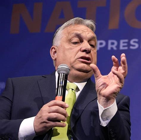 Profesorius Viktoras Mamontovas