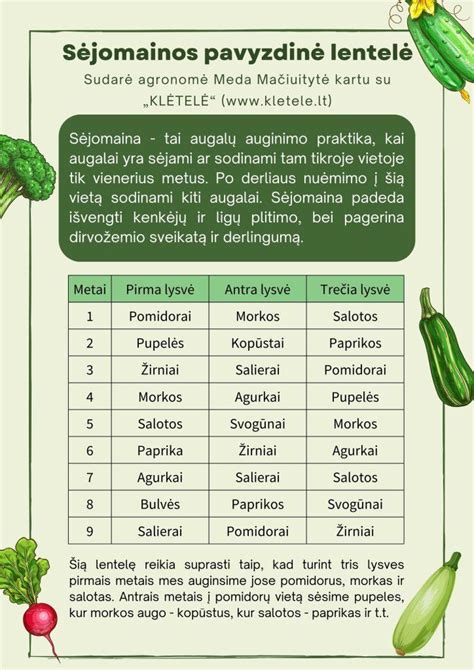 Sėjomainos pavyzdys darže