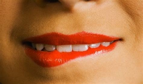 Lūpos frenulumo anatomija