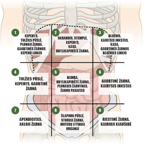 Skausmas pilvo apačioje