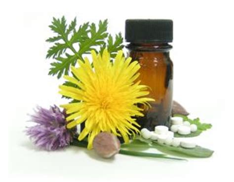 Homeopatijos principas
