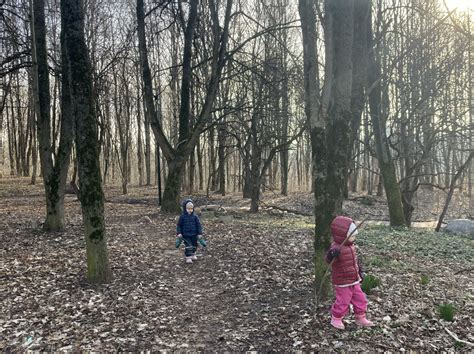 vaikai tyrinėjantys gamtą lauko sąlygomis