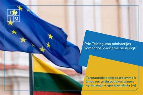 tarptautinio bendradarbiavimo schema