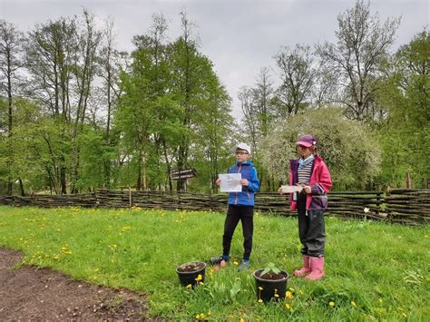 Grupė vaikų atlieka mankštą lauke