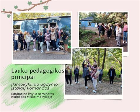 patirtinio ugdymo principai lauko veikloje