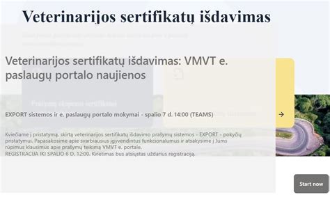 Elektroninės Sodros paslaugų portalo iliustracija