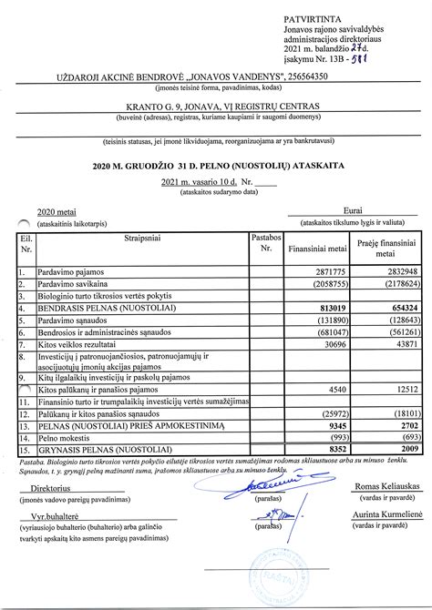 statistinė ataskaita