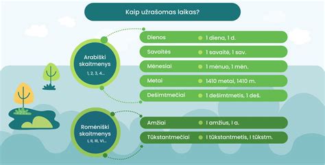schematinis vaizdas, kaip laikas ir veiksmai gydo žaizdą