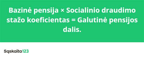 Informacinė schema: Socialinio draudimo stažo komponentai