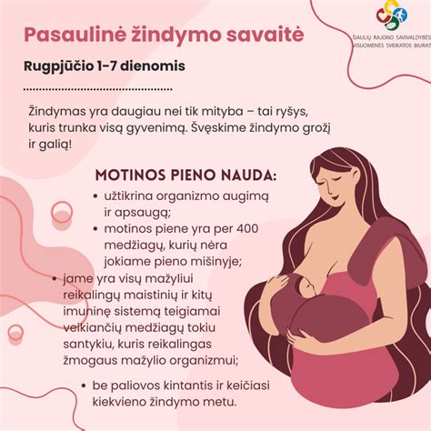infografikas apie žindymo intervalus ir ovuliaciją