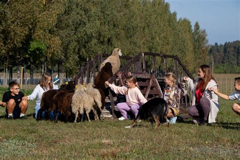 vaikai bendraujantys su ūkio gyvūnais