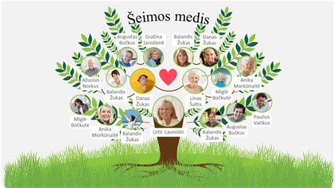 Šeimos medis, vaiko kilmė