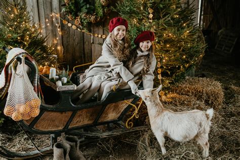 Margo ponio ūkis žiemą