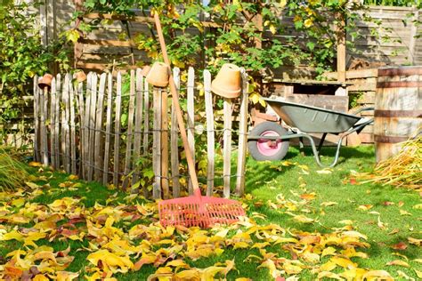 rudens sodo darbai ir kompostavimas