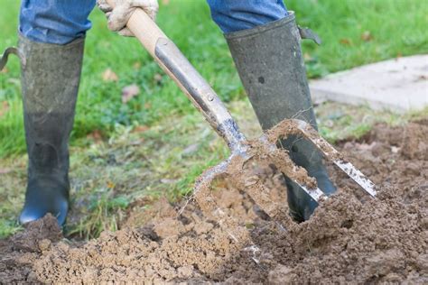 Dirvos tręšimas kompostu ir paruošimas sodinimui