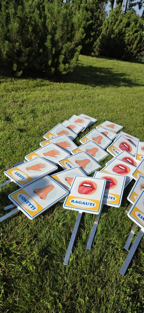 Lauko erdvės pritaikymas judriam ugdymui