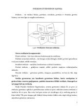 Sveikos gyvensenos elementai