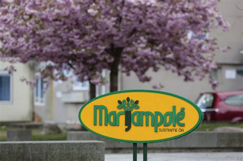Marijampolės miesto panorama ir savivaldybės pastatas