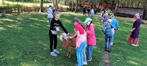 Mokiniai bendraujantys su šunimis edukacijos metu