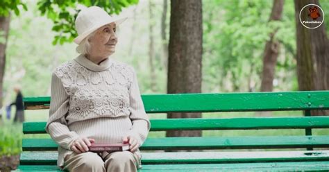 Pieštuku nupieštas skėtis ant suoliuko rudens parke