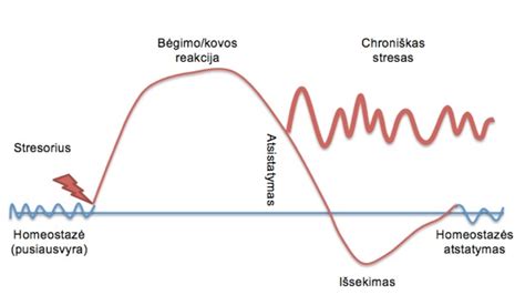 Streso ir hormonų diagrama