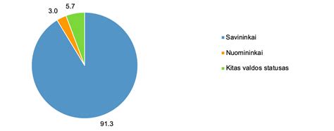Lietuvos šeimų vaikų išlaikymo išlaidų palyginimas mieste ir kaime
