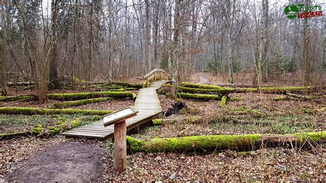 Buktos girios pažintinis takas ir unikali augmenija