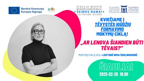 Tėvystės mokymų programų Lietuvoje palyginamoji schema
